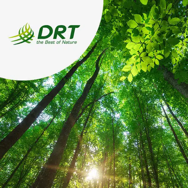 DRT opte pour l'ERP Cadexpress S/4 Chemicals avec TVH consulting