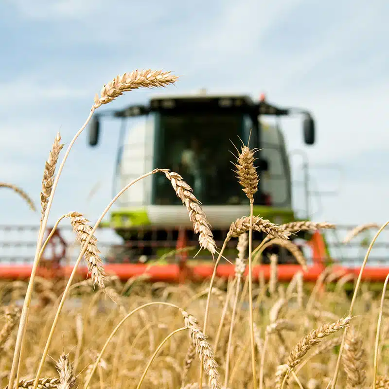 ERP ADAX COOP sur Microsoft Dynamics 365 adapté aux enjeux métiers des coopératives agricoles