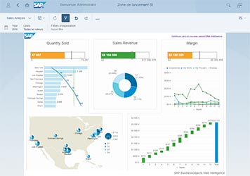 SAP BusinessObjects BI : Web Intelligence 