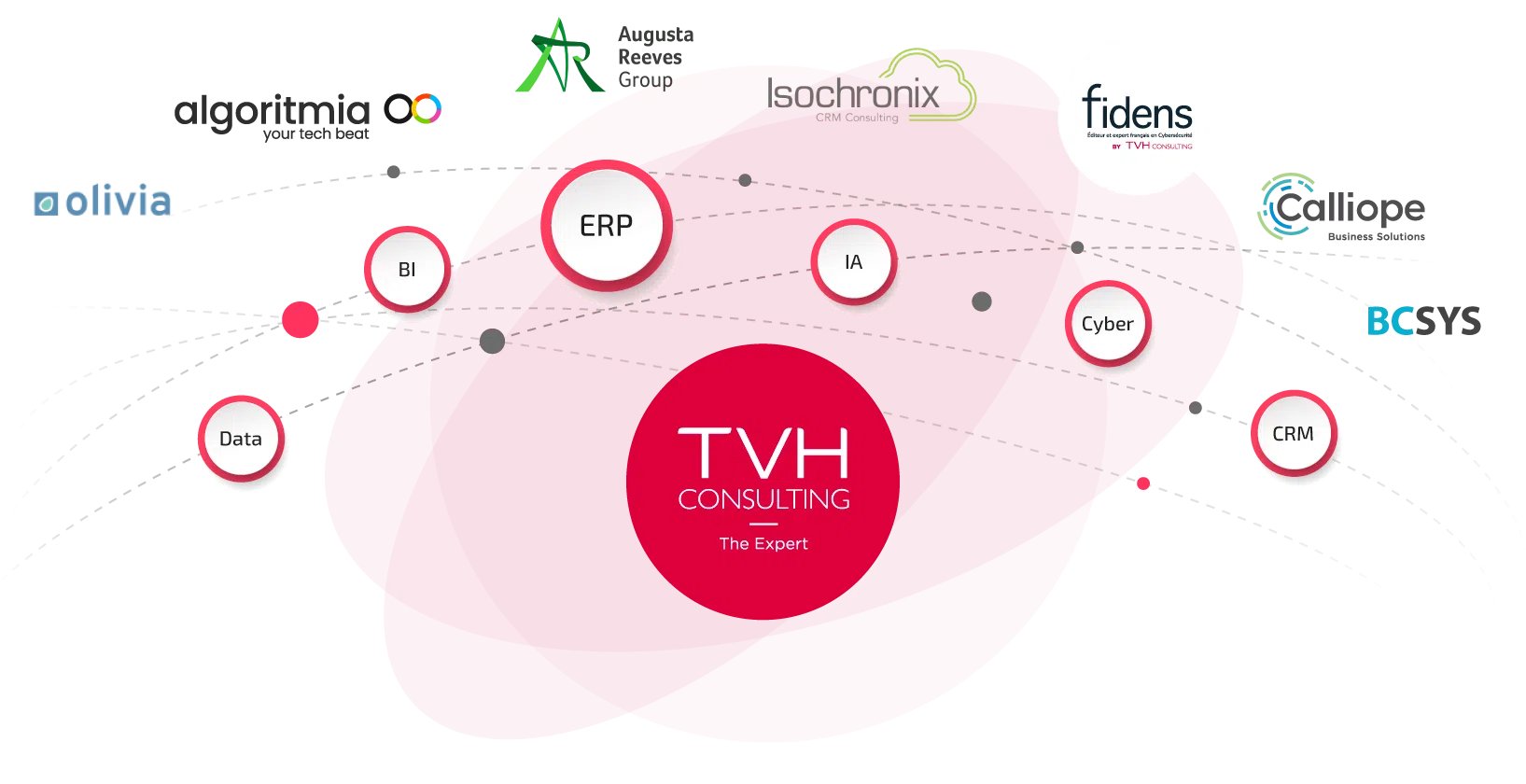 TVH Consulting - Expert ERP, Data, BI, CRM et Cybersécurité