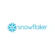logo-data-snowflake