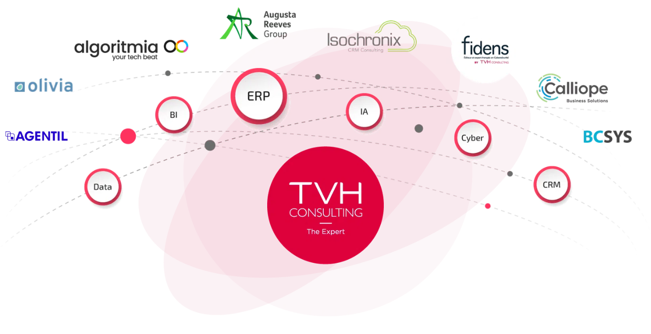TVH Consulting - Expert ERP, Data, BI, CRM et Cybersécurité